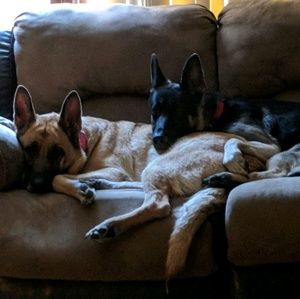 Meet your Posher, Heidi